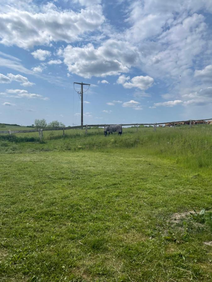Ferienwohnung Mit Kamin Und Traumhafter Dachterrasse Mit Weitblick In Die Natur Neu Gaarz Exterior photo